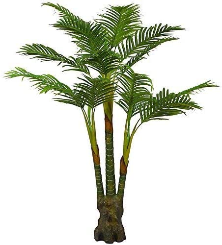 Palm tree